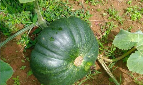 534988757_18093865339646599_6246550377256909938_n (1)