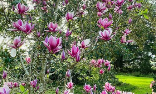 540581391_18340373611160296_1046024800254426910_n (1)