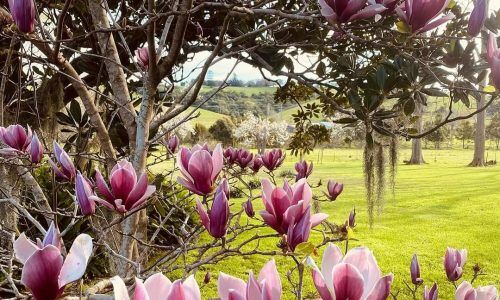 540773496_18340373620160296_7068970100624271572_n (1)