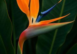 541687512_18528922564050717_9061995697077322404_n (1)