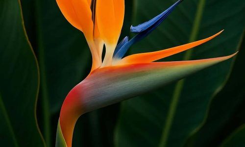 541687512_18528922564050717_9061995697077322404_n (1)