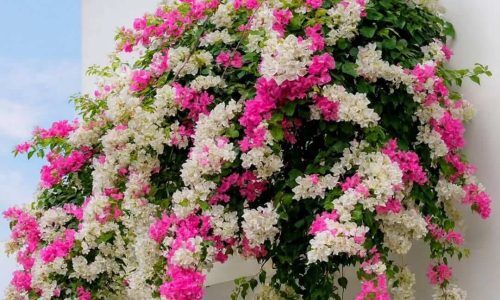 543009262_18077448980301819_6607222264885280798_n