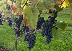 552747173_18321880465209903_5279276504497983881_n (1)