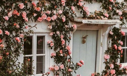 150280057_757599991822078_5670185320959744890_n (1)