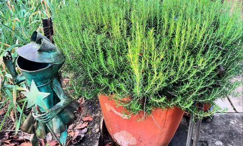 461693363_18465757798010075_7147617411498630008_n (1)