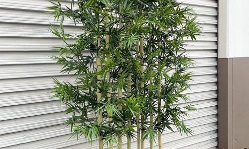 519971402_18517758781038177_4534232486380764615_n