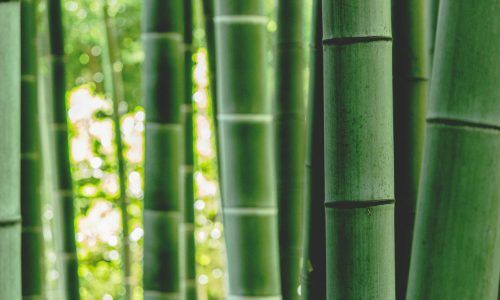 enkuu-smile-OoULo8WHNtY-unsplash (1) (1)