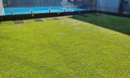 159379950_477578260284604_8999689521932989997_n (1)