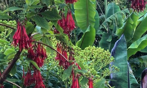 504464212_18051718394384812_5507033154284149601_n (1)