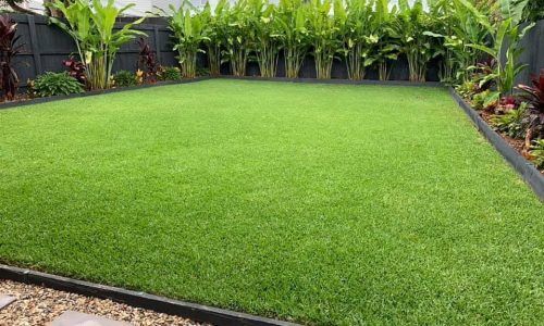 72299681_978905285811248_4212353756810964270_n (1)