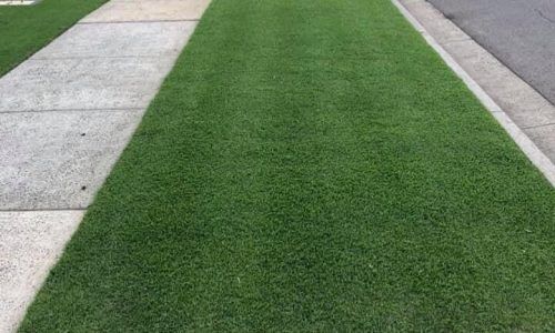 75214695_3839429776082868_4763350438897424599_n (1)