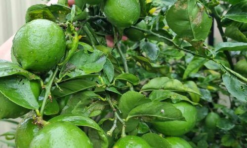 301541998_3371907233135901_8854022028884645813_n