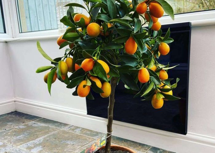 333000512_5518113278293712_7981672412637401577_n (1)