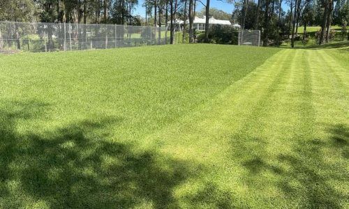 448041826_440627175246280_6856638743279153767_n (1)