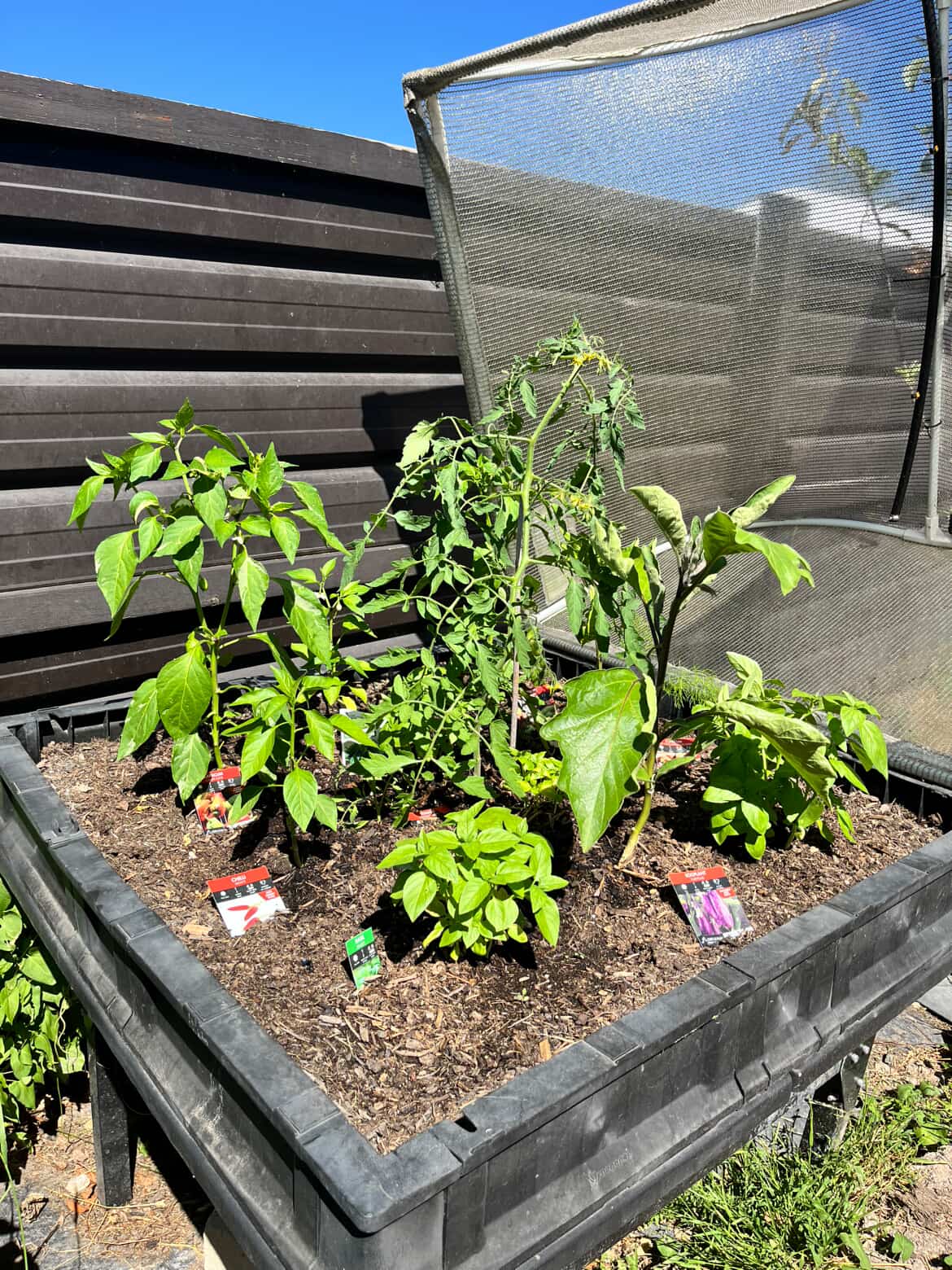 Before using CompleteGrow NPK 20-20-20