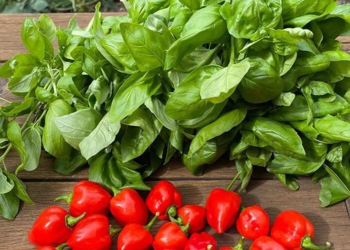 625377429_18303965404257502_3140248069115055504_n