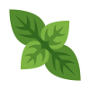 Hydro herbs icon